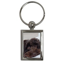 Laying In Dog Bed Key Chains (rectangle)  by pauchesstore