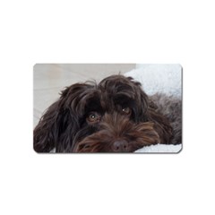 Laying In Dog Bed Magnet (name Card) by pauchesstore