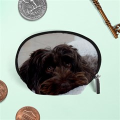 Laying In Dog Bed Accessory Pouch (small) by pauchesstore