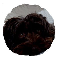 Laying In Dog Bed Large 18  Premium Round Cushions by pauchesstore