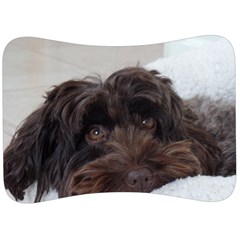 Laying In Dog Bed Velour Seat Head Rest Cushion by pauchesstore