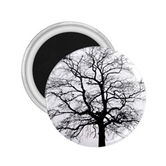 Tree Silhouette Winter Plant 2 25  Magnets by Pakrebo