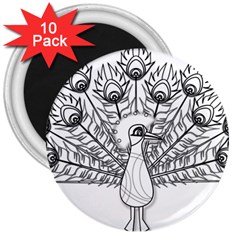 Peacock Plumage Display Bird 3  Magnets (10 Pack)  by Pakrebo