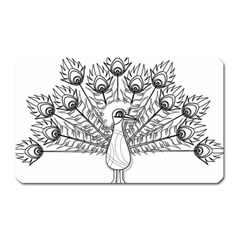 Peacock Plumage Display Bird Magnet (rectangular) by Pakrebo