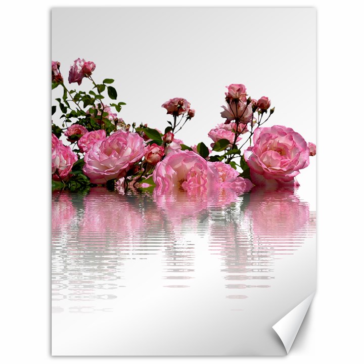 Roses Flowers Nature Flower Canvas 36  x 48 