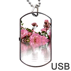 Roses Flowers Nature Flower Dog Tag Usb Flash (two Sides) by Pakrebo