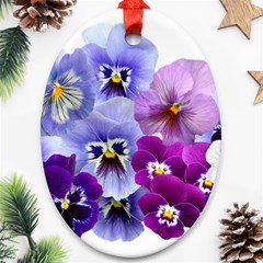 Pansy Isolated Violet Nature Ornament (oval) by Pakrebo