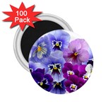 Pansy Isolated Violet Nature 2.25  Magnets (100 pack)  Front