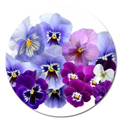 Pansy Isolated Violet Nature Magnet 5  (round) by Pakrebo