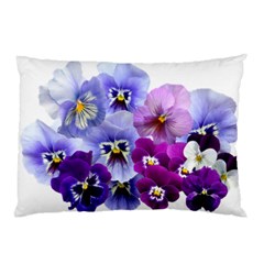 Pansy Isolated Violet Nature Pillow Case by Pakrebo