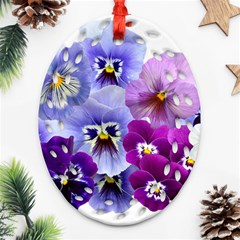 Pansy Isolated Violet Nature Ornament (oval Filigree) by Pakrebo