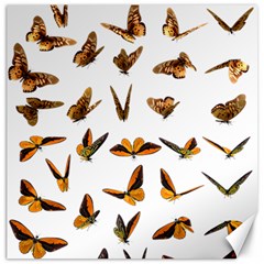 Butterfly Butterflies Insect Swarm Canvas 12  X 12  by Pakrebo