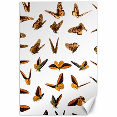 Butterfly Butterflies Insect Swarm Canvas 12  X 18  by Pakrebo