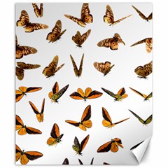 Butterfly Butterflies Insect Swarm Canvas 20  X 24  by Pakrebo