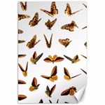 Butterfly Butterflies Insect Swarm Canvas 20  x 30  19.62 x28.9  Canvas - 1