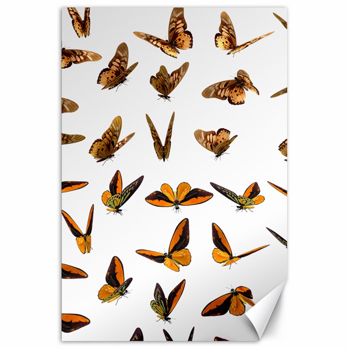 Butterfly Butterflies Insect Swarm Canvas 20  x 30 