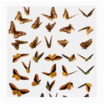 Butterfly Butterflies Insect Swarm Medium Glasses Cloth (2-Side) Front