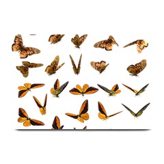 Butterfly Butterflies Insect Swarm Plate Mats by Pakrebo