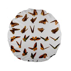 Butterfly Butterflies Insect Swarm Standard 15  Premium Flano Round Cushions by Pakrebo