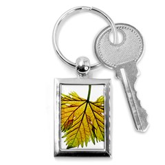 Leaf Grape Vine Sunlight Garden Key Chains (rectangle)  by Pakrebo