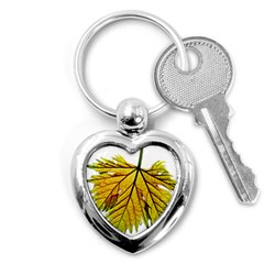 Leaf Grape Vine Sunlight Garden Key Chains (heart)  by Pakrebo