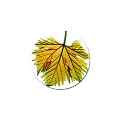 Leaf Grape Vine Sunlight Garden Golf Ball Marker by Pakrebo