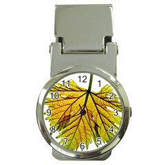 Leaf Grape Vine Sunlight Garden Money Clip Watches by Pakrebo