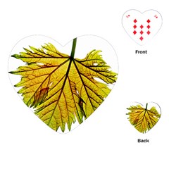 Leaf Grape Vine Sunlight Garden Playing Cards (heart) by Pakrebo