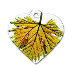 Leaf Grape Vine Sunlight Garden Dog Tag Heart (one Side) by Pakrebo