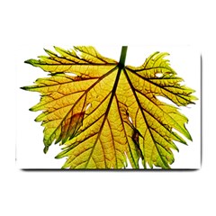 Leaf Grape Vine Sunlight Garden Small Doormat  by Pakrebo