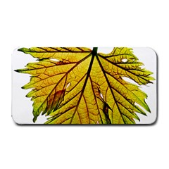 Leaf Grape Vine Sunlight Garden Medium Bar Mats by Pakrebo