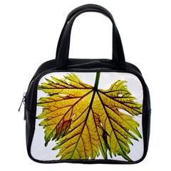 Leaf Grape Vine Sunlight Garden Classic Handbag (one Side) by Pakrebo