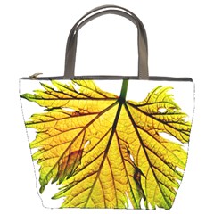 Leaf Grape Vine Sunlight Garden Bucket Bag by Pakrebo