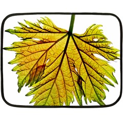 Leaf Grape Vine Sunlight Garden Fleece Blanket (mini) by Pakrebo