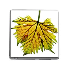 Leaf Grape Vine Sunlight Garden Memory Card Reader (square 5 Slot) by Pakrebo