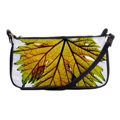 Leaf Grape Vine Sunlight Garden Shoulder Clutch Bag by Pakrebo