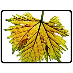 Leaf Grape Vine Sunlight Garden Fleece Blanket (large)  by Pakrebo