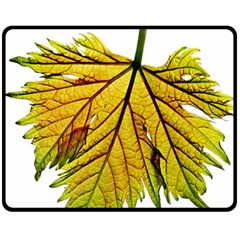 Leaf Grape Vine Sunlight Garden Fleece Blanket (medium)  by Pakrebo