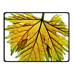 Leaf Grape Vine Sunlight Garden Fleece Blanket (small) by Pakrebo