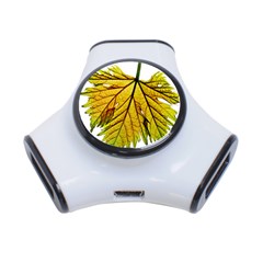 Leaf Grape Vine Sunlight Garden 3-port Usb Hub by Pakrebo