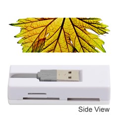 Leaf Grape Vine Sunlight Garden Memory Card Reader (stick) by Pakrebo