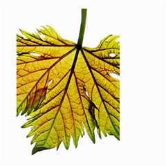 Leaf Grape Vine Sunlight Garden Small Garden Flag (two Sides) by Pakrebo