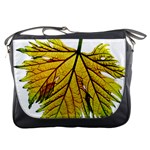 Leaf Grape Vine Sunlight Garden Messenger Bag Front