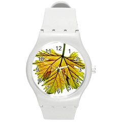 Leaf Grape Vine Sunlight Garden Round Plastic Sport Watch (m) by Pakrebo