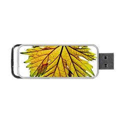 Leaf Grape Vine Sunlight Garden Portable Usb Flash (one Side) by Pakrebo