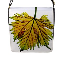 Leaf Grape Vine Sunlight Garden Flap Closure Messenger Bag (l) by Pakrebo