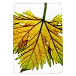 Leaf Grape Vine Sunlight Garden Removable Flap Cover (L) Front