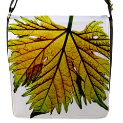 Leaf Grape Vine Sunlight Garden Flap Closure Messenger Bag (s) by Pakrebo