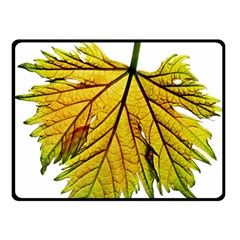 Leaf Grape Vine Sunlight Garden Double Sided Fleece Blanket (small)  by Pakrebo