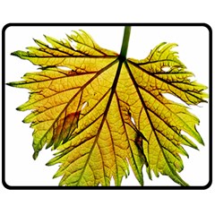 Leaf Grape Vine Sunlight Garden Double Sided Fleece Blanket (medium)  by Pakrebo